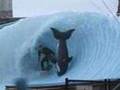 How to break your neck back and ankles at the waveshouse.