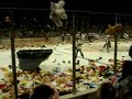 Teddy Bear Toss 2007 Teddy Bear Toss 2007