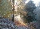 Photographs in and around Bromsgrove ...