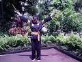 Click here to watch this video SENJATA Perguruan Pencak Silat Mutiara Panca Rasa
