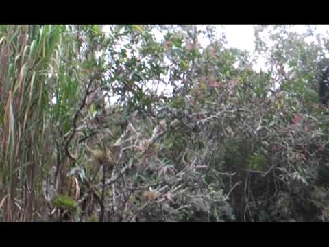 0 Viajes al Parque Natural Tope de Collantes