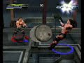 RVD-Test XIX Cage