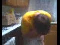 father son headbutt