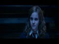 I Wanna Have Your Babies - Ron/Hermione