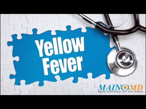 how to treat yellow fever
