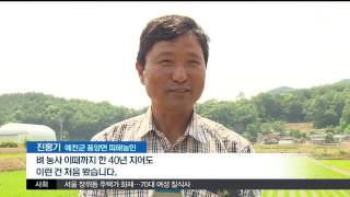 뉴스투데이