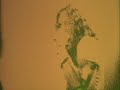 Led Zeppelin, The Song Remains The Same/ Part 9 - Video: YouTube