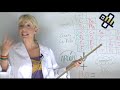 Estrellas fugaces y clases de ciencias.