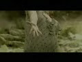 Tsumori Chisato citi bank I.T. card ad. Tsumori Chisato citi bank I.T. card ad.