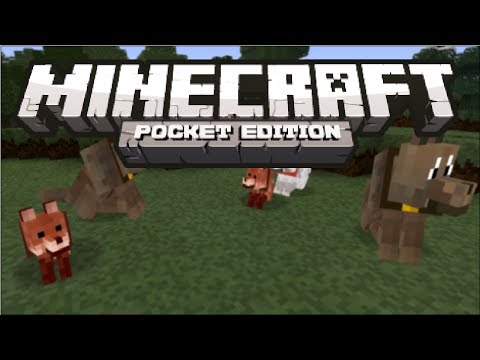 how to locate wolves