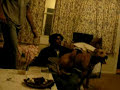 Indian guy having sex with a dog