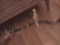 Domino Rallies