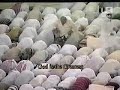 Makkah Taraweeh-(Night 2)-Sheikh Shuraim