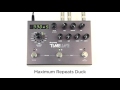 Strymon TimeLine - Duck Delay Machine audio clips