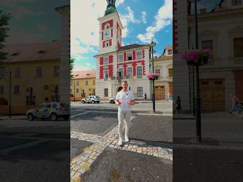 Video Byt 1+kk, 25,4 m2, lodžie 6,5 m2, sklep, ke kompletní rekonstrukci, ul. Záfortenská, Slaný