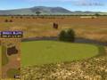 Golden Tee Great Shot on Grand Savannah!