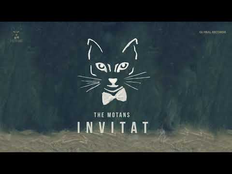 The Motans Invitat Official Audio