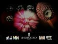 Degrisogono Website By Procab Studio Geneva Switzerland