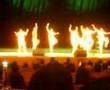 NiCkeAsH At SaNgAmAm finals