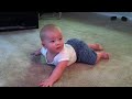 Baby vs Beagle