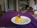 Duck Tale
