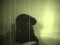 Psycho Murder Scene (Dog Style)