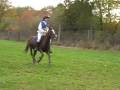 videos de cce des ormes