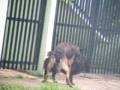 videos de MVI_0535.avi