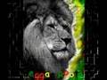 SOJA-open-my-eyes-vo