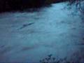 Puyallup River