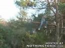Tree comedy Tree comedy