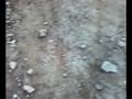 Gusi Backflip en arena crash!!!