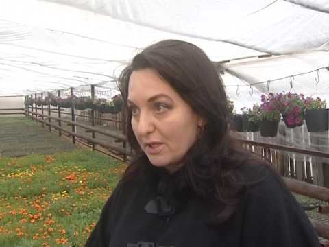 Просмотр видео