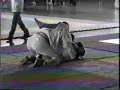 Jiu Jitsu - fernando fiorani