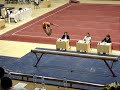 Cheng Fei 2007 Shanghai World Cup beam