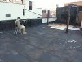 rooftop animation