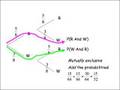 Probability Part 2: tree diagrams
