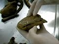 Medicina Facimed, Cardiovascular.