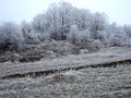MTB, 30.12.2008 MTB, 30.12.2008