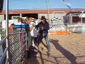 Gabe Mutton bustin Fair 08\