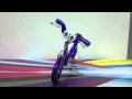 Bicicletornis