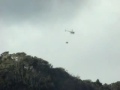 Helo dropping 1080 hits bird.mpg