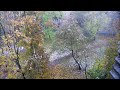 Первый снег