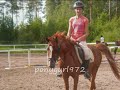 most exciting flatwork lesson ever :p we ran into some trouble at the carpet, which he was terrified of xd magical flying carpet of doom :d

seriously, don't give critisism. it's just plain annoying. and you need to accept that there are more then 1 training methods and more then 1 ways to teach a horse to do something.