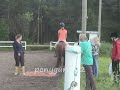most exciting flatwork lesson ever :p we ran into some trouble at the carpet, which he was terrified of xd magical flying carpet of doom :d

seriously, don't give critisism. it's just plain annoying. and you need to accept that there are more then 1 training methods and more then 1 ways to teach a horse to do something.