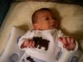 videos de Tripp 4 Jan 2009