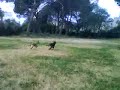 הכל מדוייק יש לנו משהוא שבודק מהירות וגם אני יביא לכם סירטן שאני על קורקינט מנוע שהוא סוגר 60 קמ