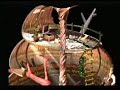 final fantasy vii   walkthrough part 30
