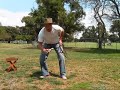 bullwhip-cracking-how-to-open-a-can-of-rootbeer.html