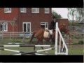Wood End Show May 2008